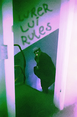 Lurer Lui rules - still